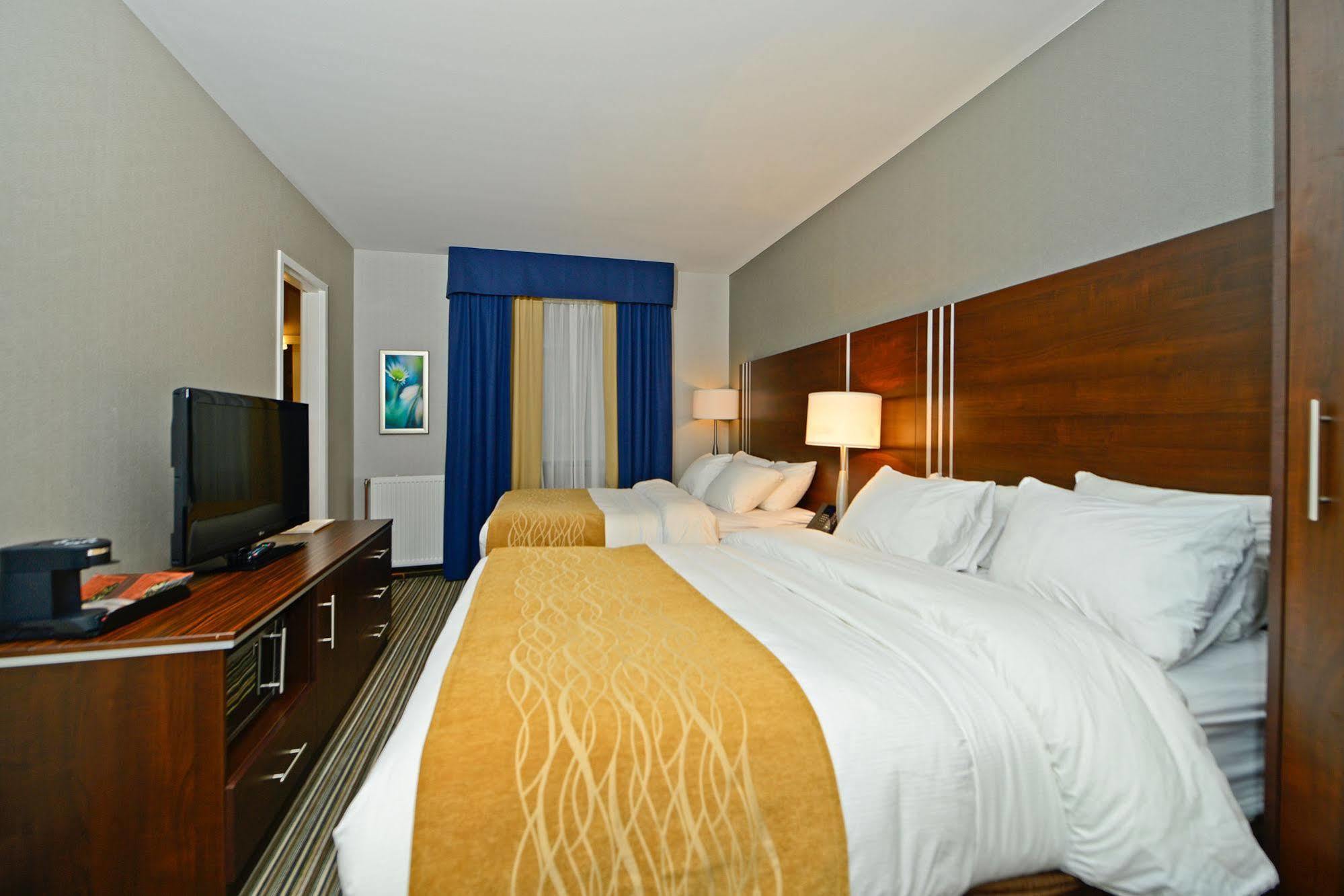 Comfort Inn Toronto City Centre Esterno foto